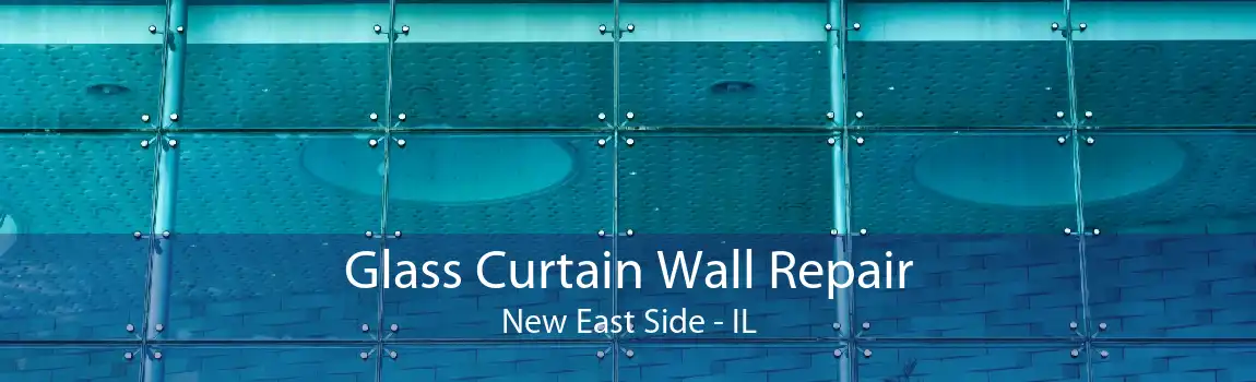 Glass Curtain Wall Repair New East Side - IL