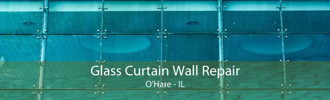 Glass Curtain Wall Repair O'Hare - IL