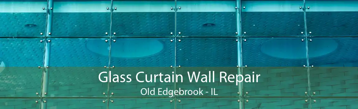 Glass Curtain Wall Repair Old Edgebrook - IL