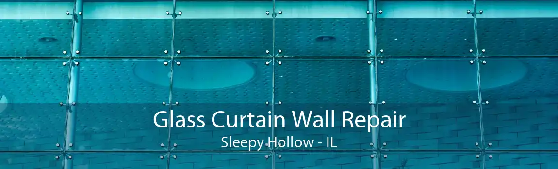 Glass Curtain Wall Repair Sleepy Hollow - IL