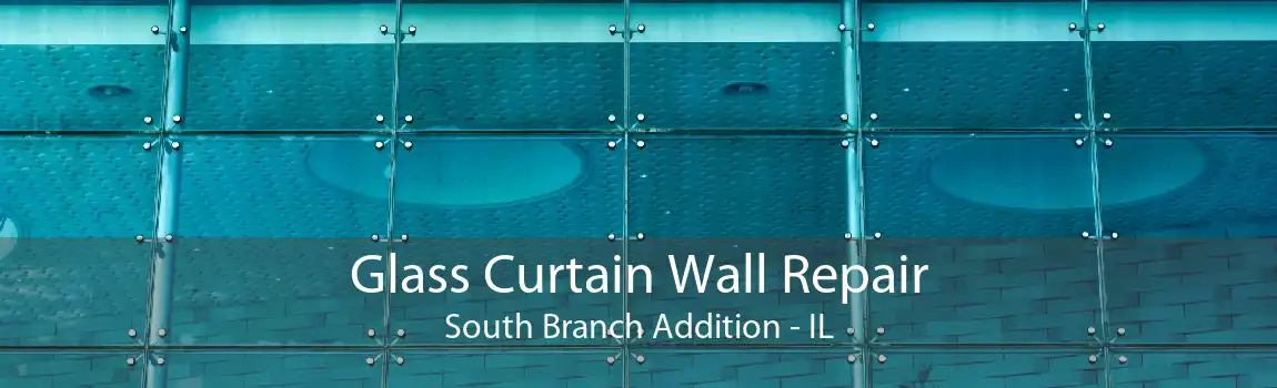 Glass Curtain Wall Repair South Branch Addition - IL