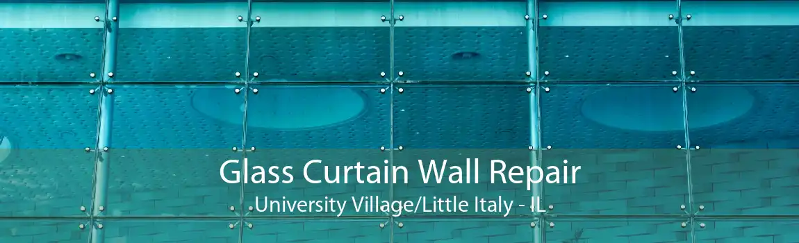 Glass Curtain Wall Repair University Village/Little Italy - IL