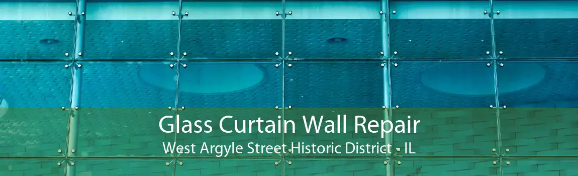 Glass Curtain Wall Repair West Argyle Street Historic District - IL