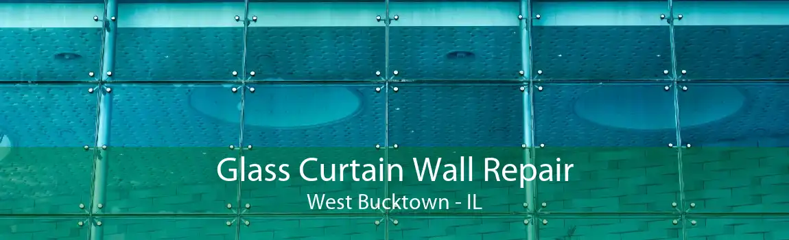 Glass Curtain Wall Repair West Bucktown - IL