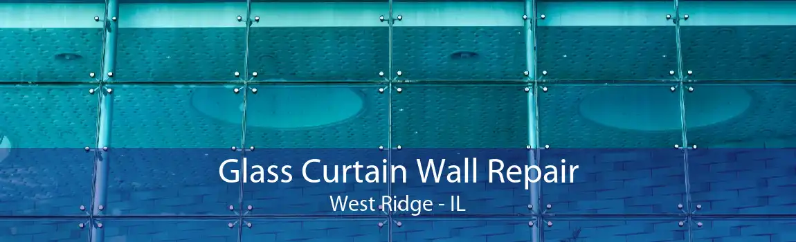 Glass Curtain Wall Repair West Ridge - IL