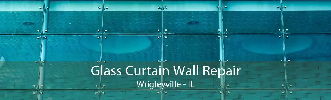 Glass Curtain Wall Repair Wrigleyville - IL