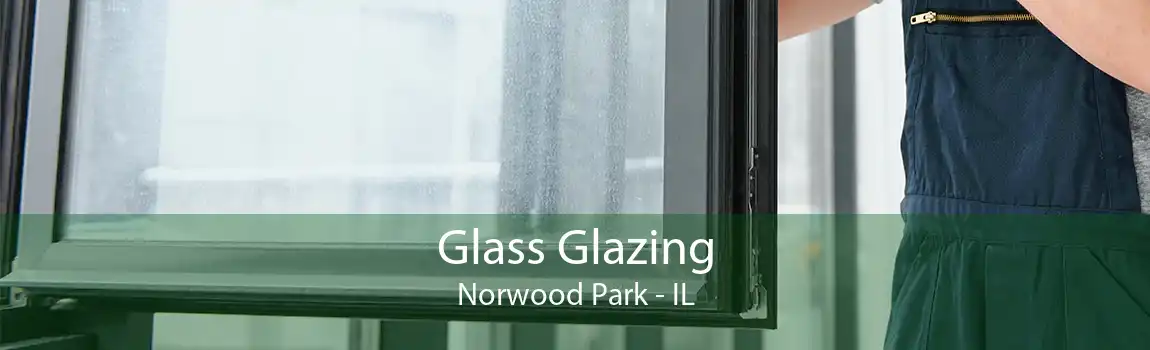 Glass Glazing Norwood Park - IL