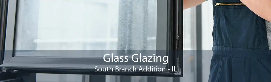 Glass Glazing South Branch Addition - IL