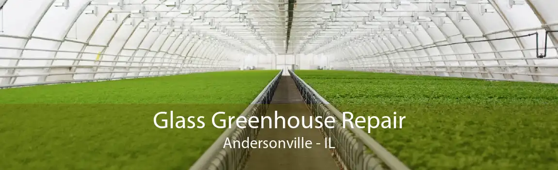 Glass Greenhouse Repair Andersonville - IL