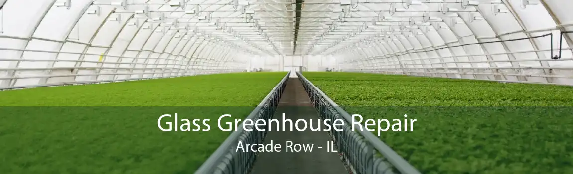 Glass Greenhouse Repair Arcade Row - IL