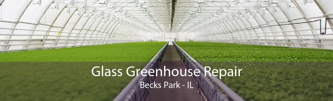 Glass Greenhouse Repair Becks Park - IL