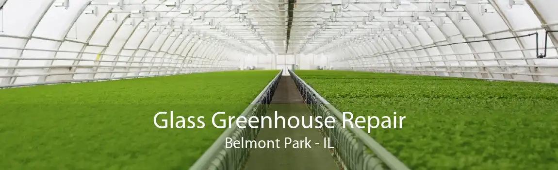 Glass Greenhouse Repair Belmont Park - IL