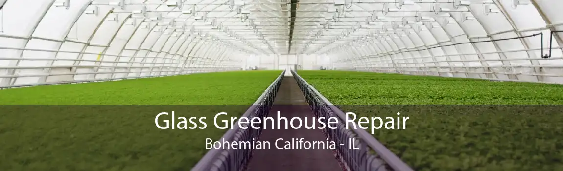 Glass Greenhouse Repair Bohemian California - IL