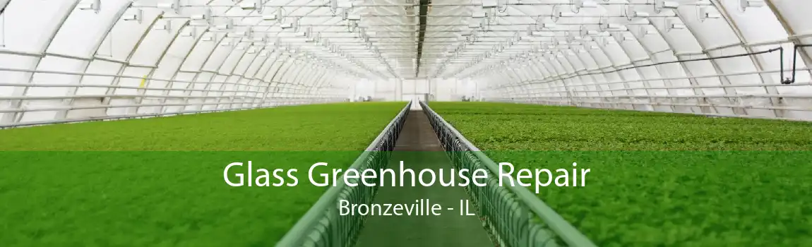 Glass Greenhouse Repair Bronzeville - IL