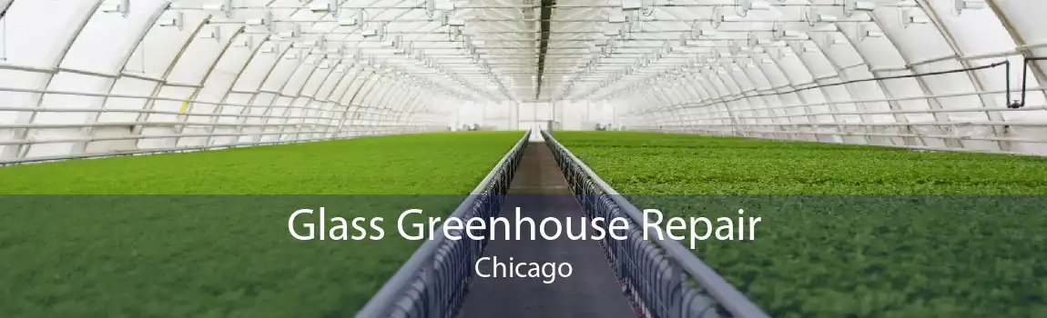 Glass Greenhouse Repair Chicago