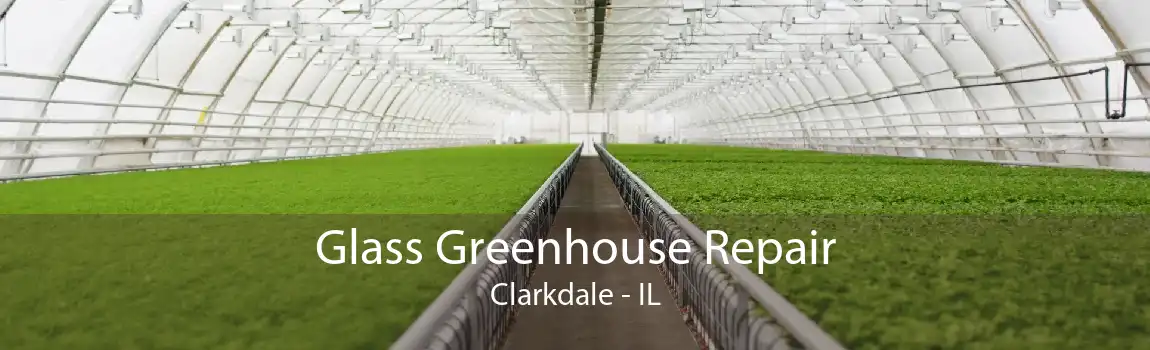 Glass Greenhouse Repair Clarkdale - IL