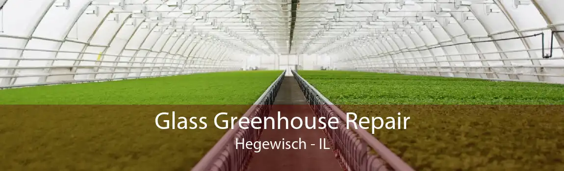 Glass Greenhouse Repair Hegewisch - IL