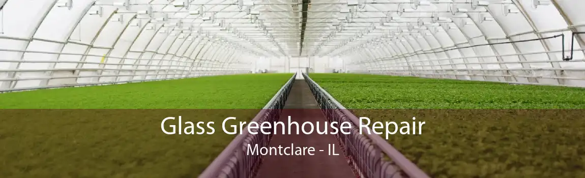 Glass Greenhouse Repair Montclare - IL