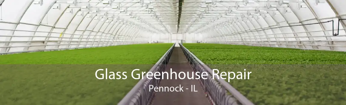 Glass Greenhouse Repair Pennock - IL