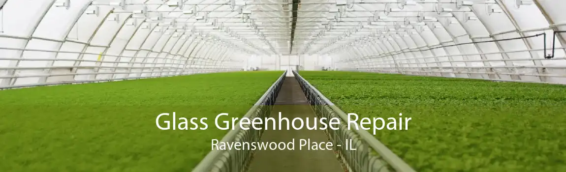 Glass Greenhouse Repair Ravenswood Place - IL