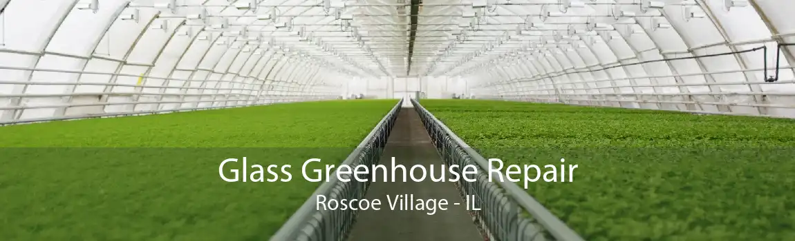 Glass Greenhouse Repair Roscoe Village - IL