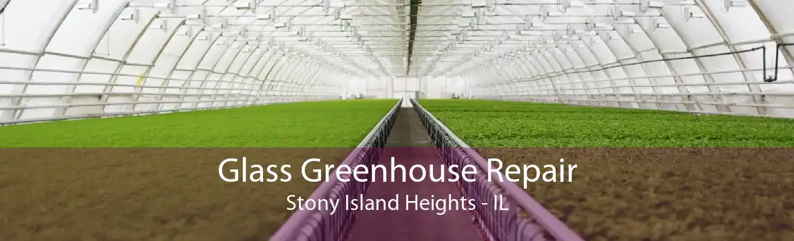 Glass Greenhouse Repair Stony Island Heights - IL