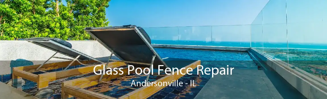 Glass Pool Fence Repair Andersonville - IL