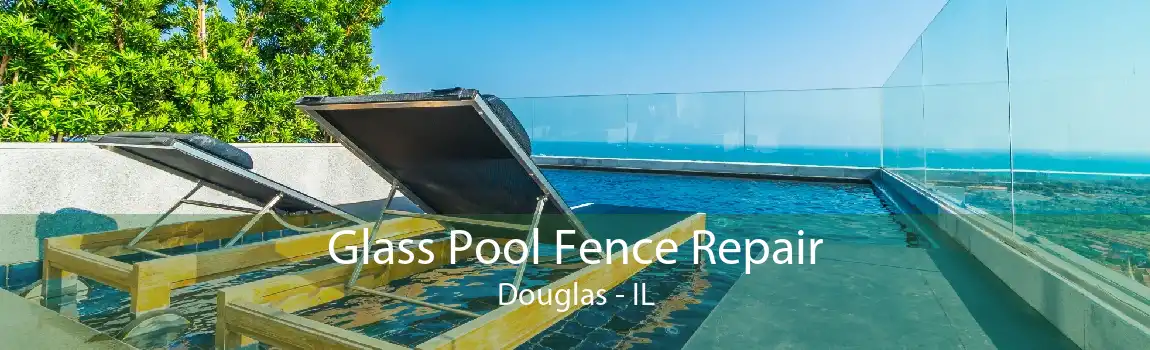 Glass Pool Fence Repair Douglas - IL