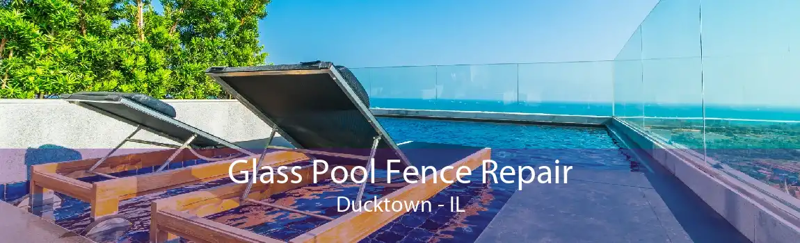 Glass Pool Fence Repair Ducktown - IL