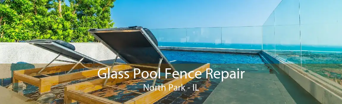 Glass Pool Fence Repair North Park - IL