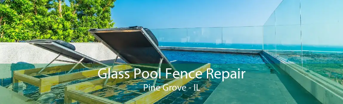 Glass Pool Fence Repair Pine Grove - IL