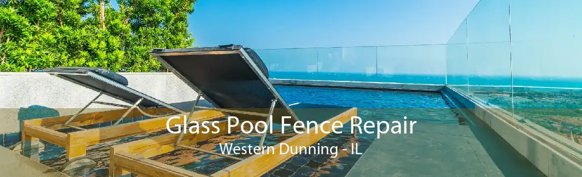 Glass Pool Fence Repair Western Dunning - IL