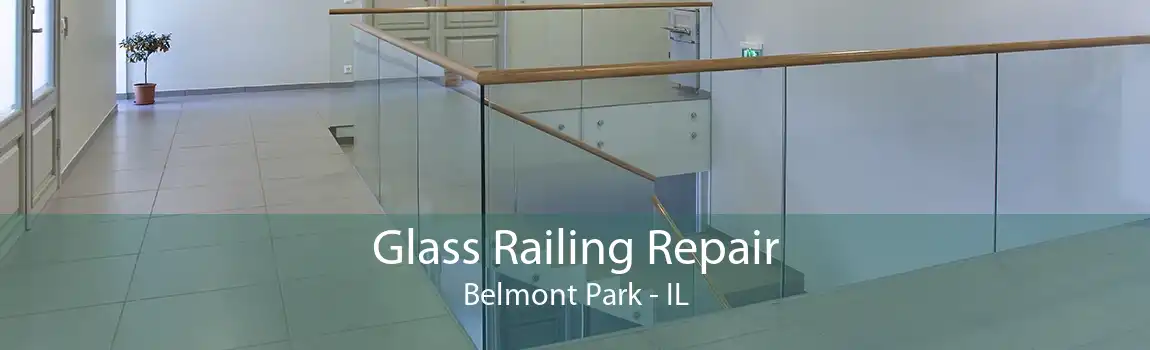 Glass Railing Repair Belmont Park - IL