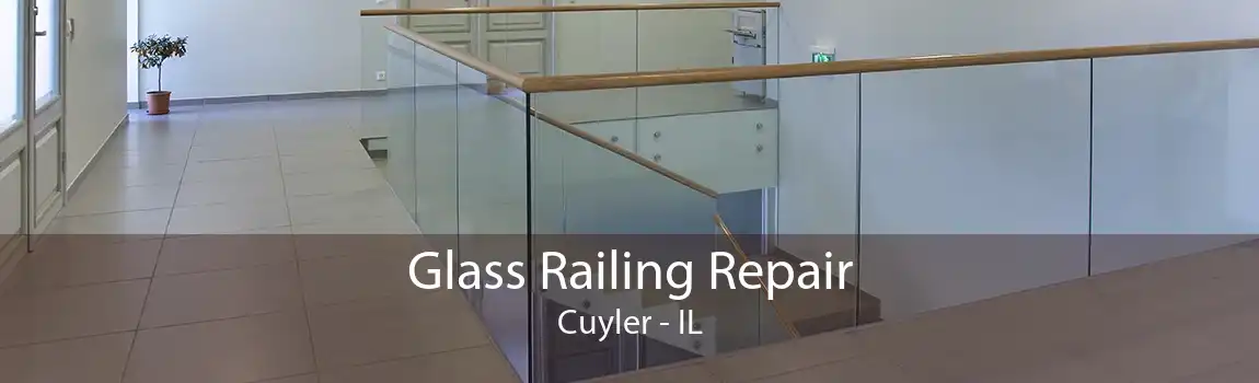 Glass Railing Repair Cuyler - IL