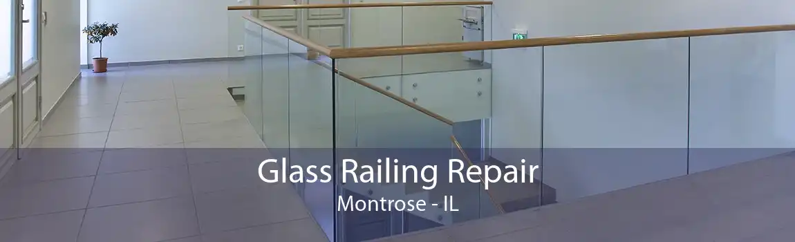 Glass Railing Repair Montrose - IL