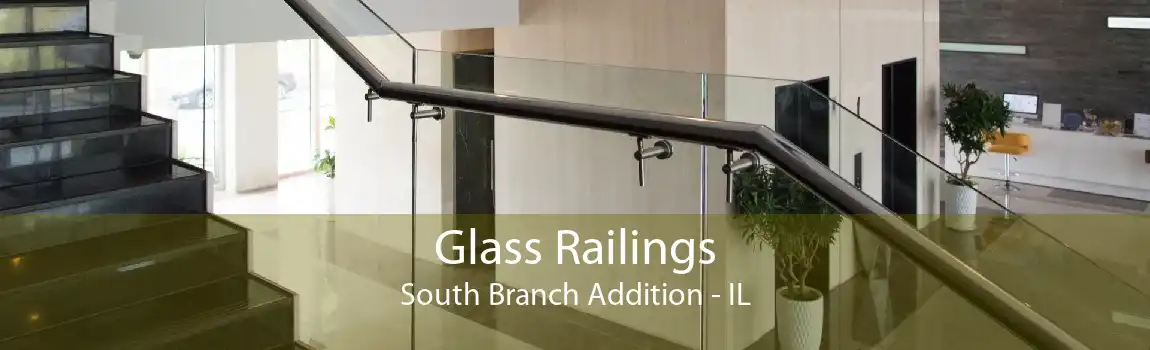 Glass Railings South Branch Addition - IL