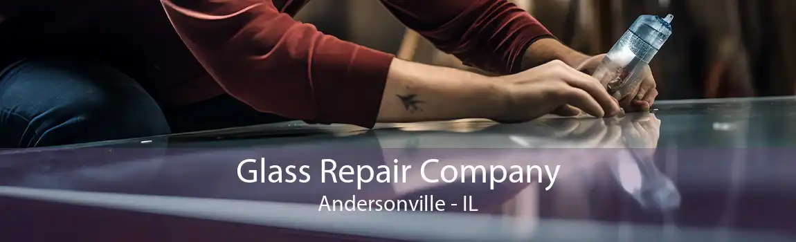 Glass Repair Company Andersonville - IL