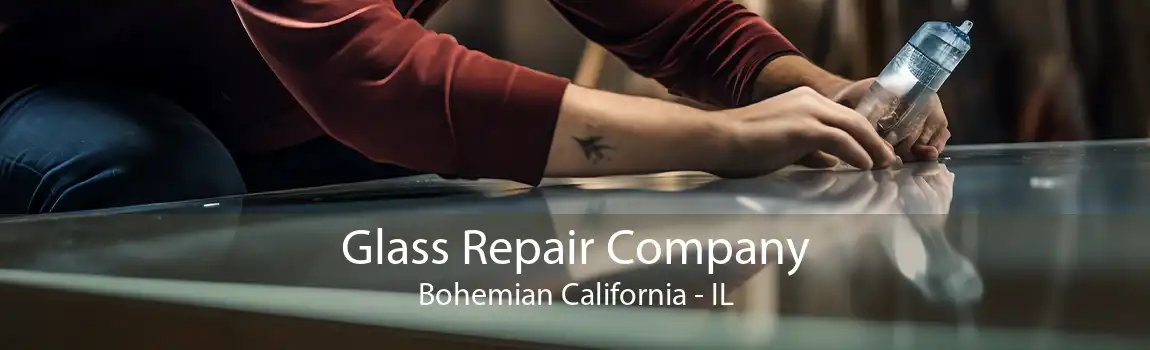 Glass Repair Company Bohemian California - IL