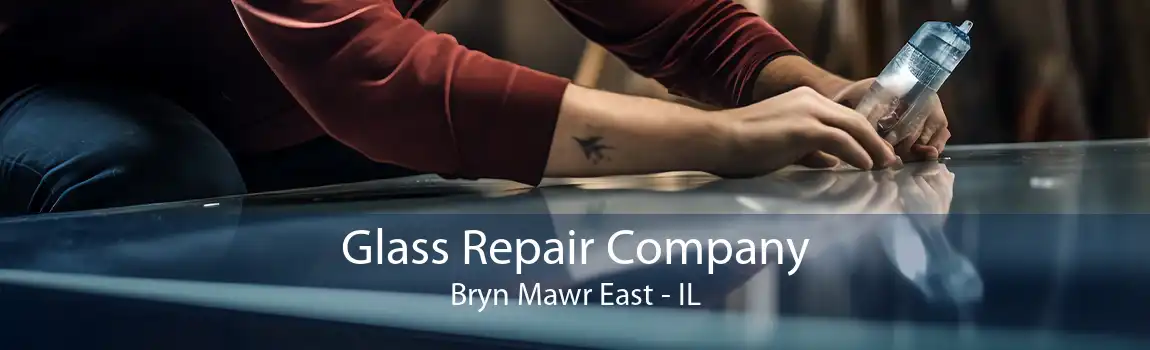 Glass Repair Company Bryn Mawr East - IL