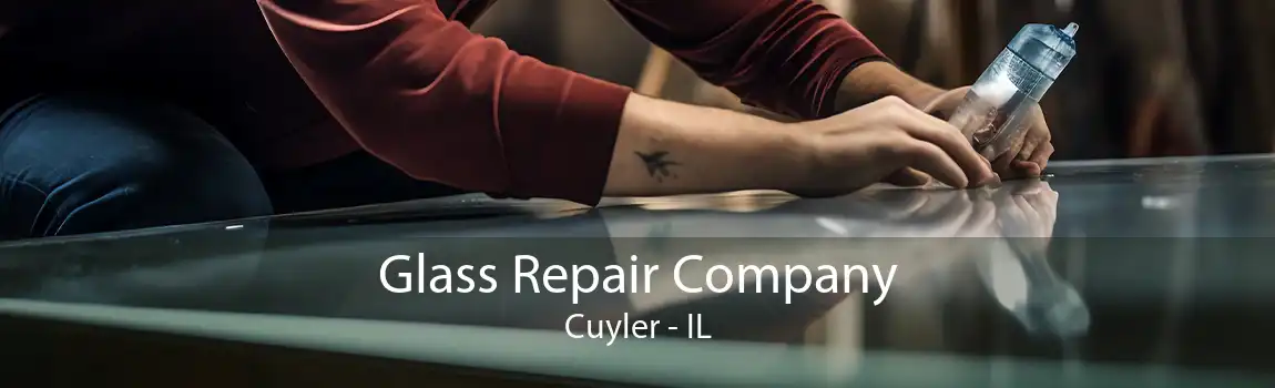 Glass Repair Company Cuyler - IL