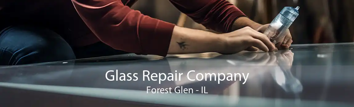 Glass Repair Company Forest Glen - IL