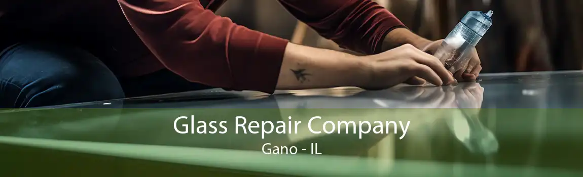 Glass Repair Company Gano - IL