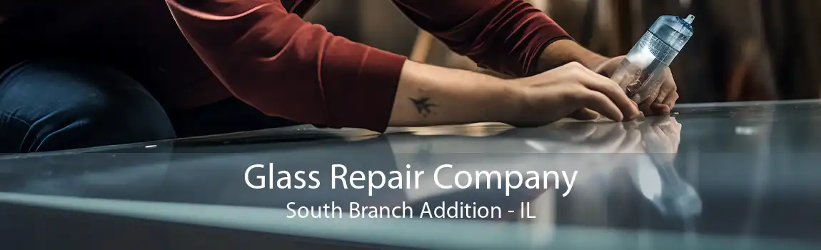 Glass Repair Company South Branch Addition - IL