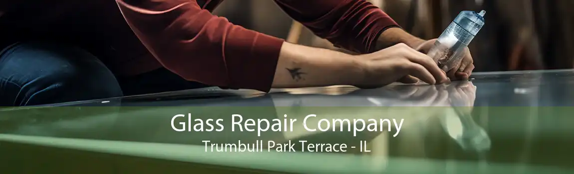 Glass Repair Company Trumbull Park Terrace - IL