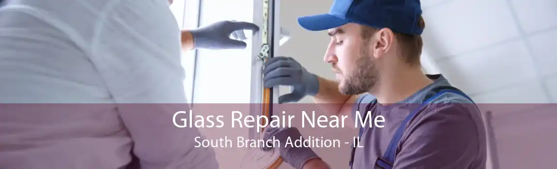 Glass Repair Near Me South Branch Addition - IL