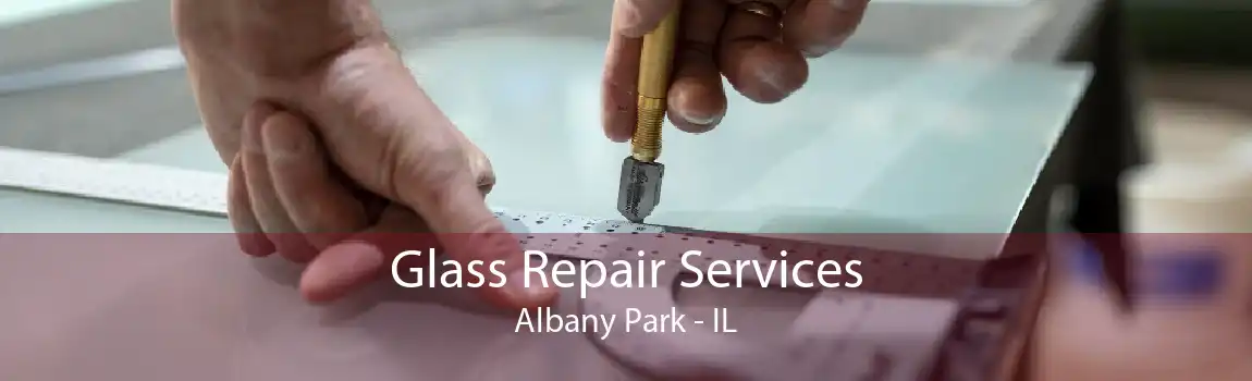 Glass Repair Services Albany Park - IL