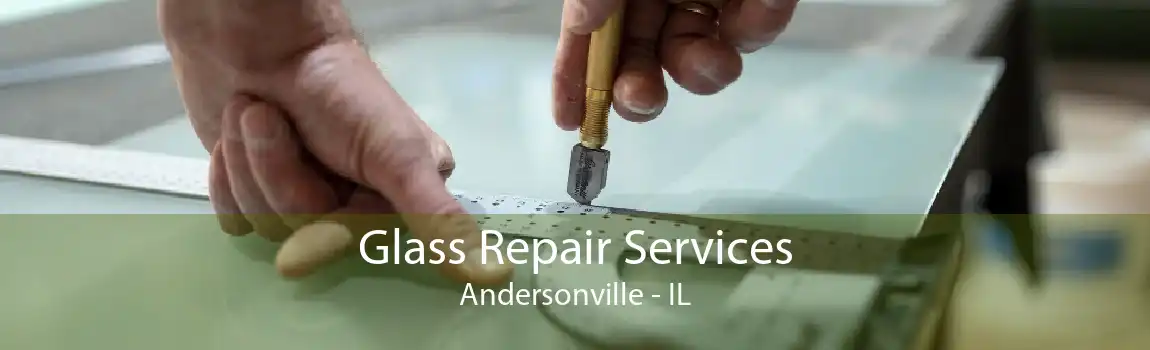 Glass Repair Services Andersonville - IL