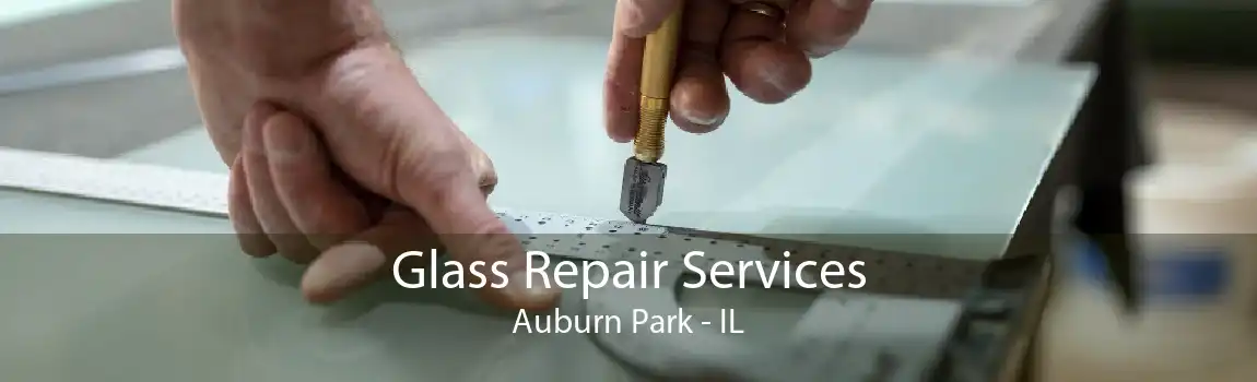 Glass Repair Services Auburn Park - IL