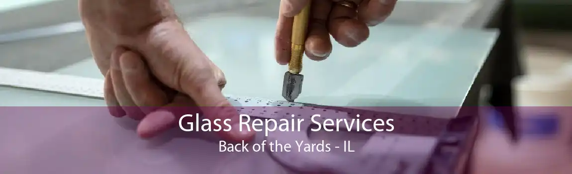 Glass Repair Services Back of the Yards - IL