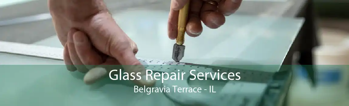 Glass Repair Services Belgravia Terrace - IL